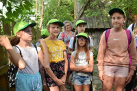 powiększ zdjęcie