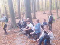 powiększ zdjęcie