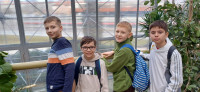 powiększ zdjęcie 