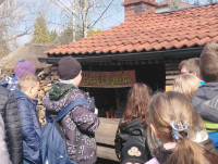 powiększ zdjęcie 
