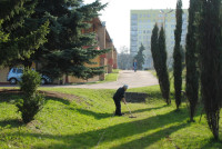 powiększ zdjęcie 