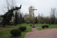 powiększ zdjęcie 