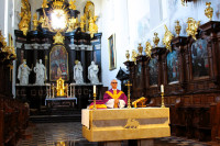 powiększ zdjęcie 