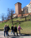 powiększ zdjęcie 