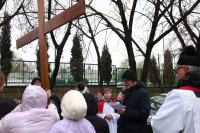 powiększ zdjęcie 