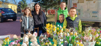 powiększ zdjęcie 