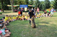 powiększ zdjęcie 