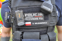 powiększ zdjęcie 