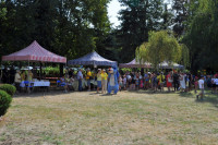 powiększ zdjęcie 