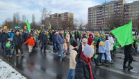 powiększ zdjęcie