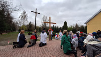 powiększ zdjęcie 