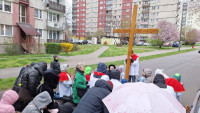 powiększ zdjęcie 