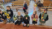 powiększ zdjęcie