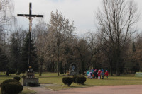 powiększ zdjęcie