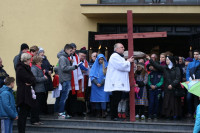 powiększ zdjęcie 