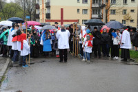 powiększ zdjęcie 