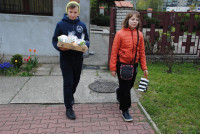powiększ zdjęcie 
