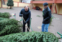 powiększ zdjęcie 