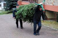powiększ zdjęcie 