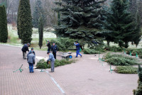 powiększ zdjęcie 