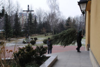 powiększ zdjęcie 