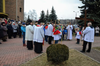 powiększ zdjęcie 