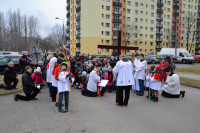powiększ zdjęcie 