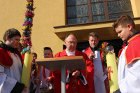 powiększ zdjęcie