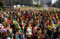 powiększ zdjęcie