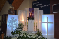 powiększ zdjęcie 