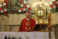 powiększ zdjęcie 