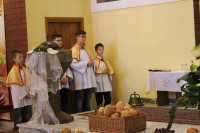powiększ zdjęcie