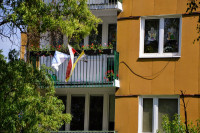 powiększ zdjęcie