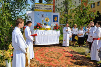 powiększ zdjęcie