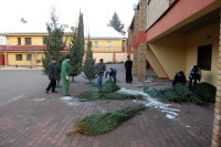 powiększ zdjęcie 