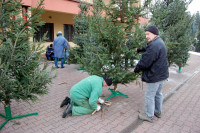 powiększ zdjęcie 