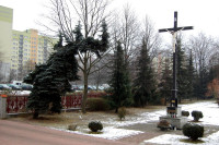 powiększ zdjęcie 