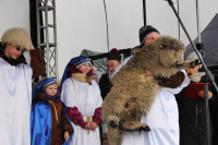 powiększ zdjęcie