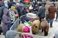 powiększ zdjęcie