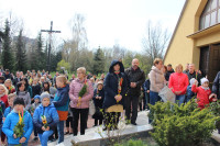 powiększ zdjęcie