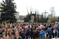 powiększ zdjęcie
