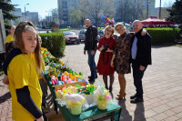 powiększ zdjęcie