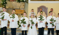 powiększ zdjęcie