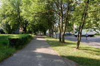powiększ zdjęcie