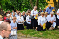 powiększ zdjęcie