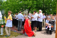 powiększ zdjęcie