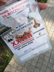 powiększ zdjęcie