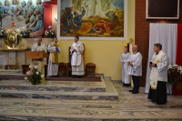 powiększ zdjęcie 