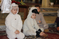powiększ zdjęcie