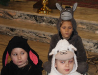 powiększ zdjęcie